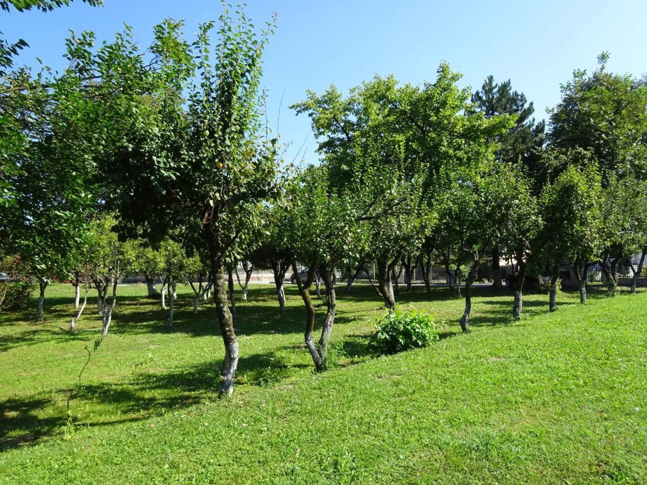 Apartment Una Laguna Bihać Dış mekan fotoğraf